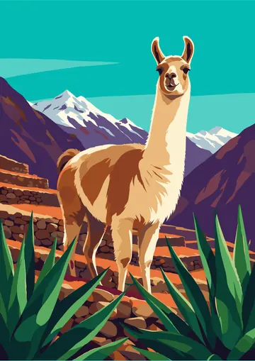Llama Andes — finished page